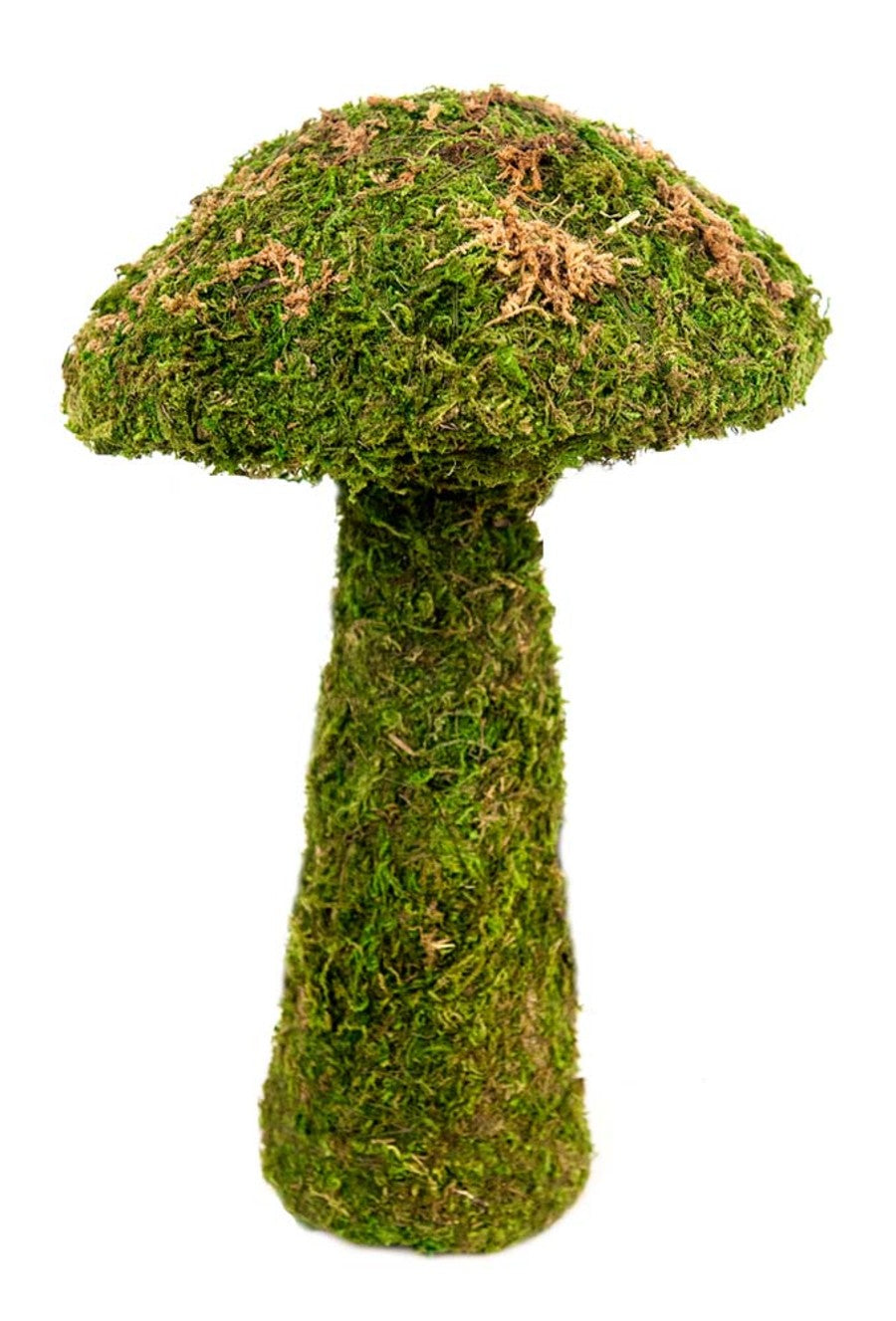 Galapagos Moss Mushroom Decorative Terrarium Ornament