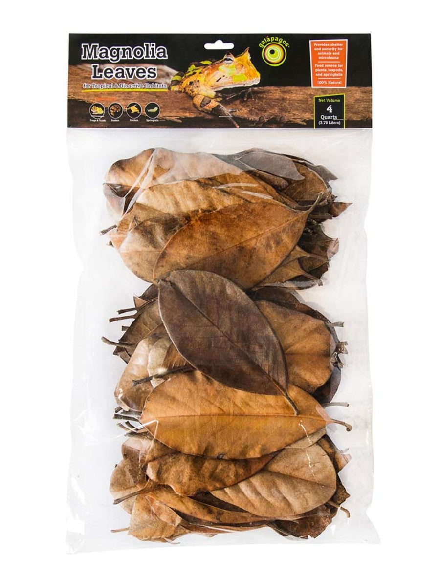 Galapagos Magnolia Leaves for Tropical & Bioactive Habitats Brown, 4 qt