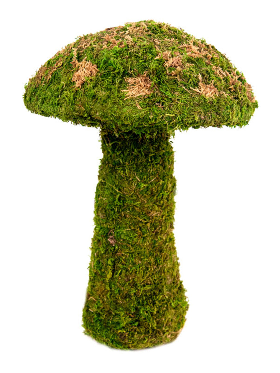 Galapagos Moss Mushroom Decorative Terrarium Ornament